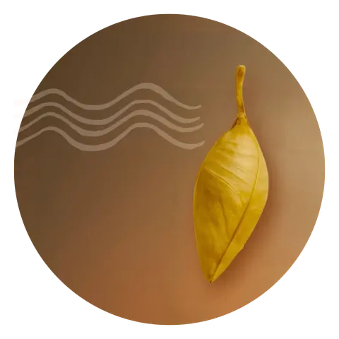 2026 Fundamentos do Ayurveda, por onde começar- Perguntas curso gratuito de Ayurveda