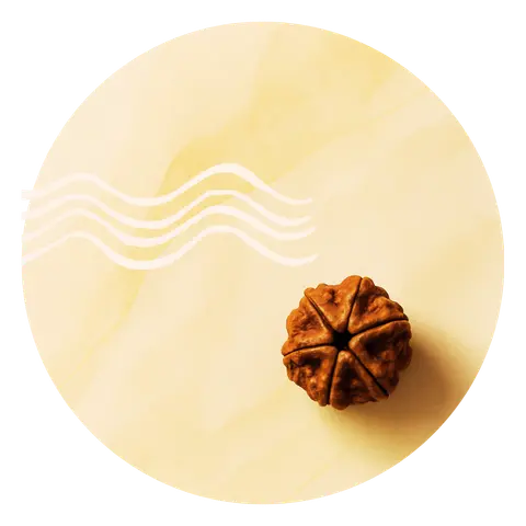 2026 Fundamentos do Ayurveda, por onde começar - Inscricao aulas gratuitas de Ayurveda